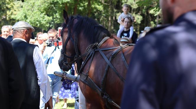 Jarmark koński w lubelskim skansenie przyciągnął tłumy