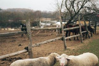 Do tych krajów lepiej nie jechać