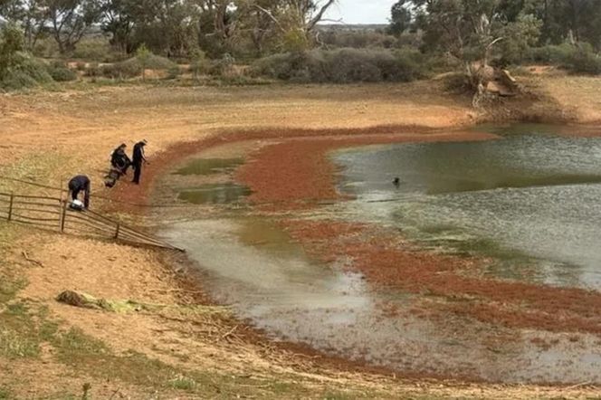 Tajemnicze zaginięcie 4-latka! Tylko jeden mały ślad