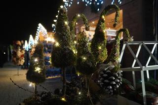 Magia świąt w Fordonie! Byliśmy na Akademickim Jarmarku Bożonarodzeniowym [ZDJĘCIA]