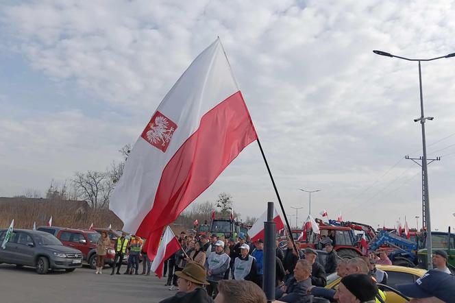 protest siódemka 2 