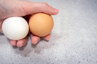 Czy brązowe jajka są zdrowsze od białych? Dietetycy już wiedzą