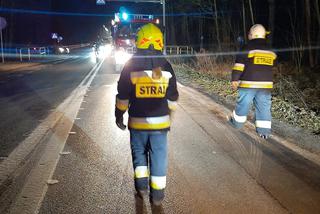 Wypadek na DK 25. W Tryszczynie zderzyły się trzy osobówki [ZDJĘCIA]