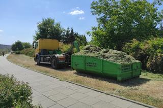 Zrobili pustynię w środku miasta. Wielkie koszenie trawy w Warszawie