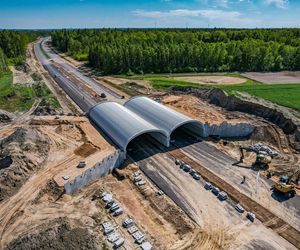 Budowa odcinka S19 Haćki-Bielsk Podlaski