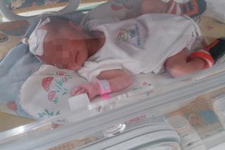 Gabryś w oknie życia