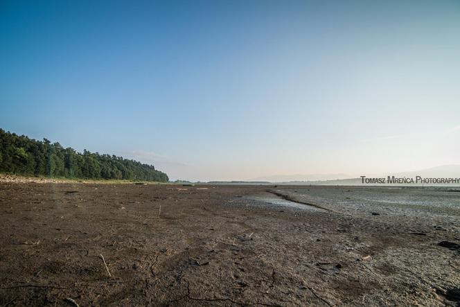 Susza w Jeziorze Żywieckim