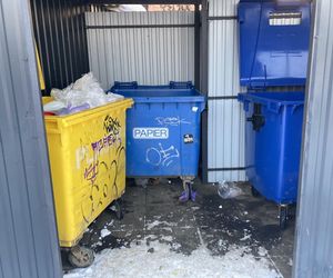 Najbrzydsze słowa w języku śląskim. Na ich dźwięk aż więdną uszy