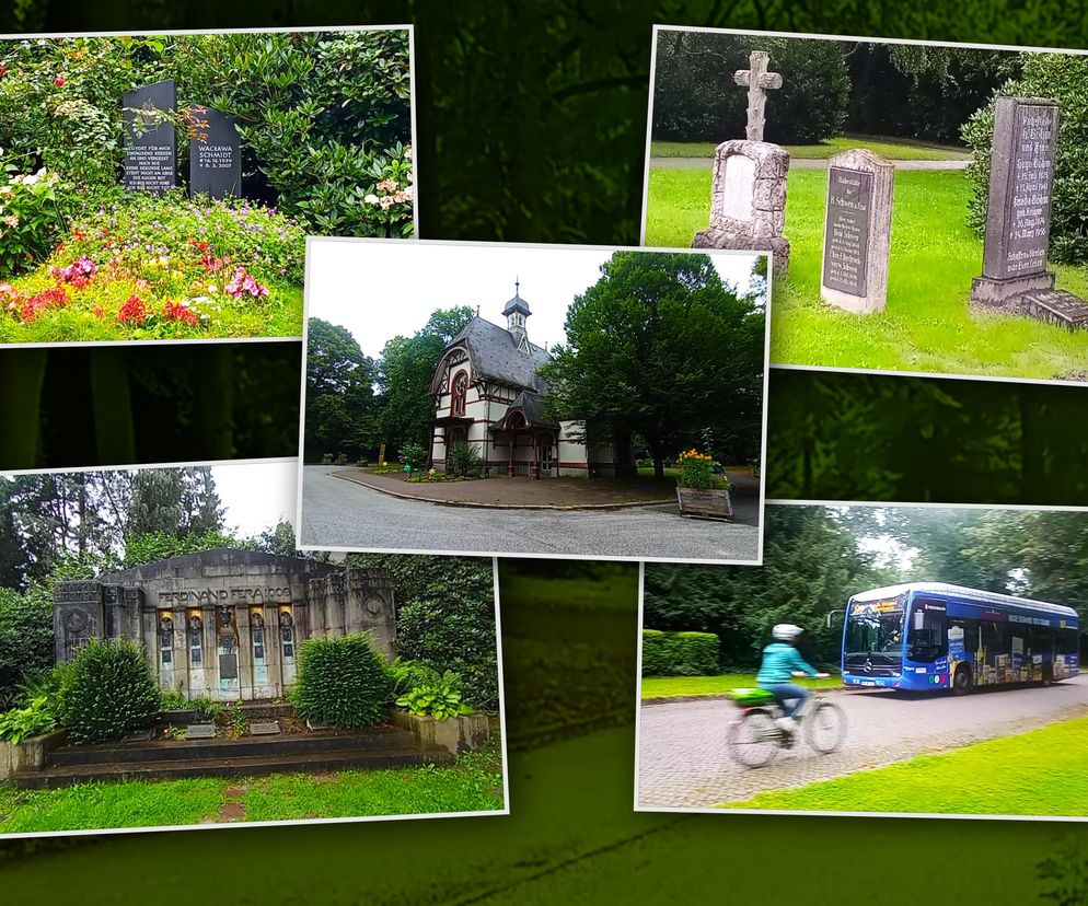 Ohlsdorfer Friedhof w Hamburgu