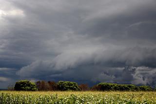 Pogoda na czwartek, 24 czerwca. Upały i burze nie odpuszczają. Prognoza 24.06.2021 r.