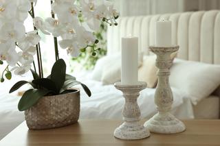 Co zrobić, żeby storczyk miał dużo kwiatów? Nawóz z cebuli do storczyków