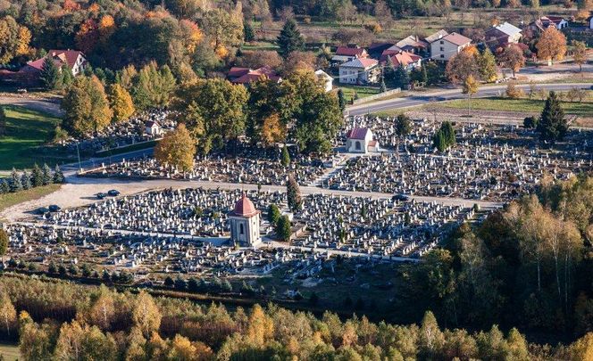 Nowe miasto na Podkarpaciu? Mieszkańcy wyrazili swoją opinię 