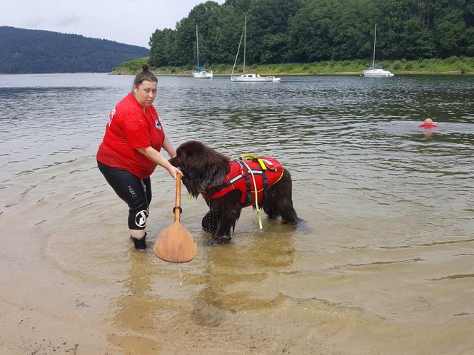 I Festiwal Psów Ratowniczych na plaży miejskiej w Żywcu