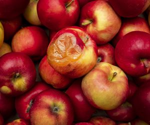 Ta toksyna pojawia się w obitych owocach. Powoduje naprawdę przykre dolegliwości 