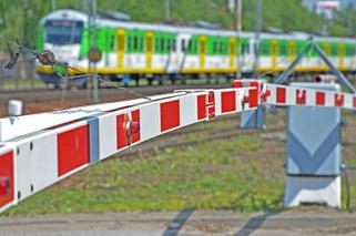 Lublin - utrudnienia w Miłocinie i objazdy  w kierunku Nałęczowa