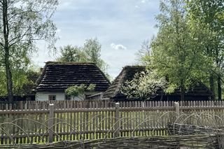 To wyjątkowe miejsce na Podkarpaciu