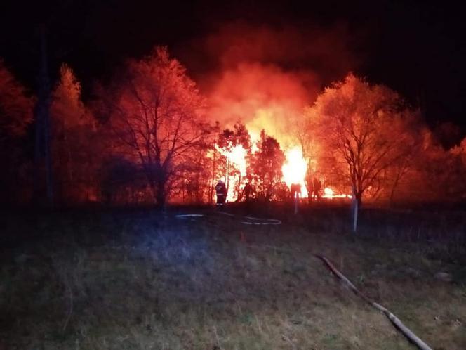 Pożar domków letniskowych w podbydgoskim Borównie! [ZDJĘCIA]
