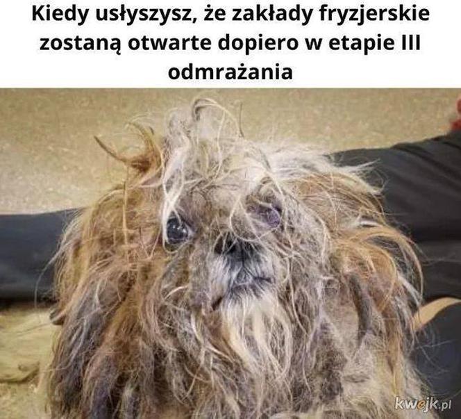 Fryzjerzy na kwarantannie: MEMY. W oczekiwaniu, kiedy otworzą salony fryzjerskie