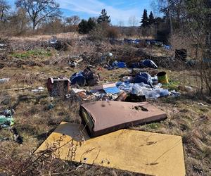 Tona śmieci na działkach pod Gorzowem. Burza w sieci