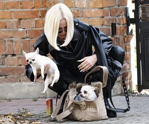 Królowe Przetrwania