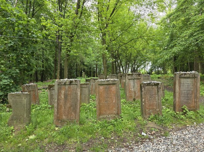 Cmentarz żydowski w Leżajsku