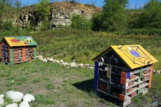 W Jaworznie powstanie tężnia solankowa