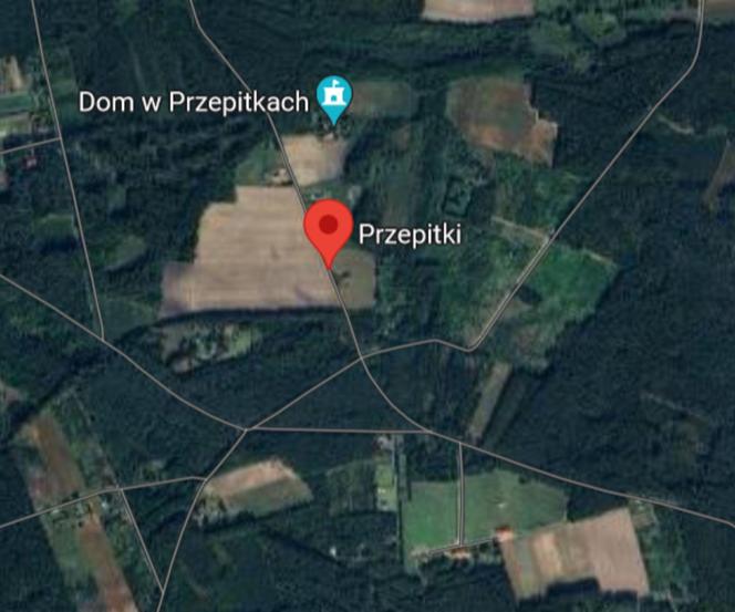 Wieś Przepitki (pow. płoński)