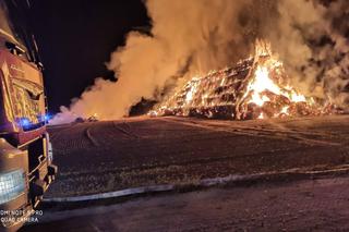 Pożary na polach pod Krotoszynem. Rolnicy wyznaczyli nagrodę