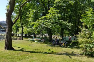 Czas na Piknik w Parku Sieleckim w Sosnowcu