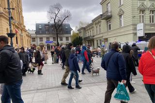 Parada Kundelków