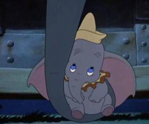 Dumbo