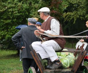 Tak ongiś siekano kapustę w woj. lubelskim. „Obieraczki kapuściane” w Muzeum Wsi Lubelskiej