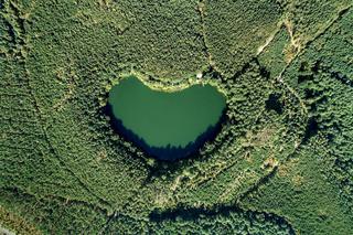 Cud natury ukryty w Lubuskiem! Jak dojechać nad jezioro w kształcie serca? Zobaczcie na te zdjęcia!