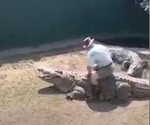  Krokodyl rzucił się na opiekuna podczas przedstawienia dla dzieci! Wszystko się nagrało. WIDEO