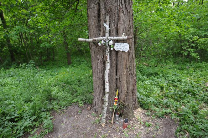 Przyjaciółka musi zapłacić 100 tysięcy za zabójstwo Agaty