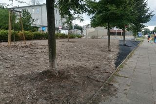 Park kieszonkowy w Siedlcach