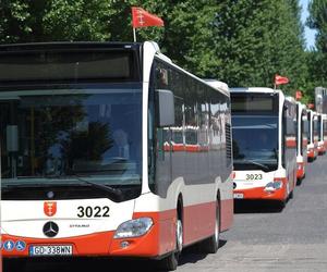 Od poniedziałku autobusy i tramwaje wracają na ul. Góreckiego