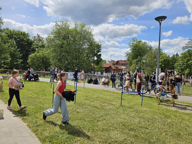 Festiwal Przyjaciół Zwierząt w Olsztynie. Park Centralny opanowały radosne pieski