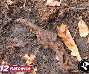 Niewybuch oraz rewolwer znalezione w lesie na terenie Katowic