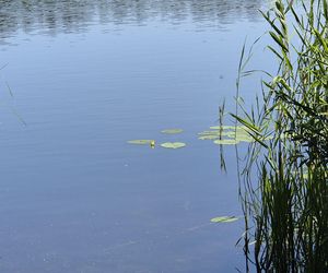 To jedno z największych jezior w Olsztynie. Kusi turystów piaszczystymi plażami