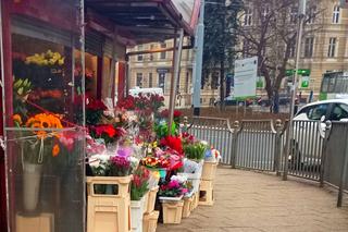 Kwiaciarki znikną z placu Szarych Szeregów