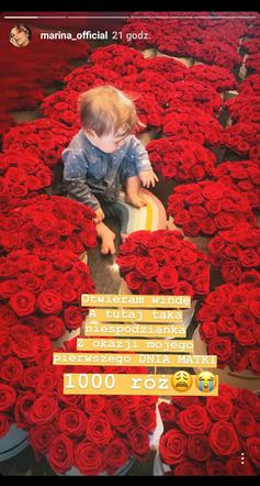 Instastories Mariny, jej synek Liam wśród tysiąca róż
