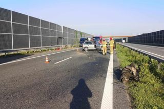 Paraliż na autostradzie A4! Samochód uderzył w bariery w Bielczy. Korek w kierunku Tarnowa!