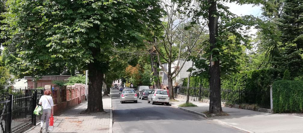 Oborniki Śląskie