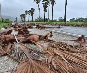 Huragan stulecia na Jamajce! Oto zdjęcia kataklizmu