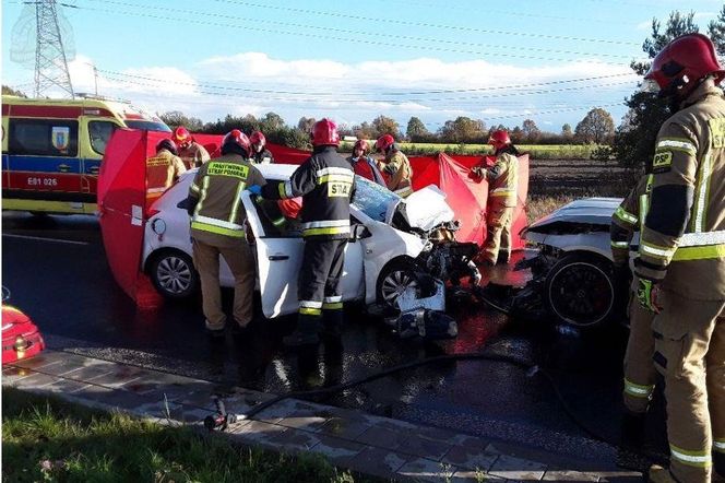 Łódź. Śmiertelny wypadek w alei 600-lecia