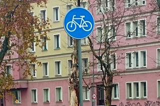 Siedem grzechów głównych: rowerzyści