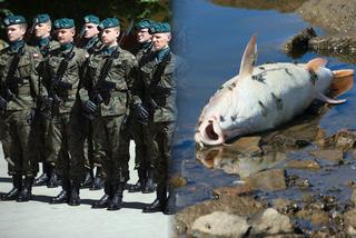 Lubuskie: Żołnierze WOT pomogą w usuwaniu zanieczyszczeń na zatrutej Odrze