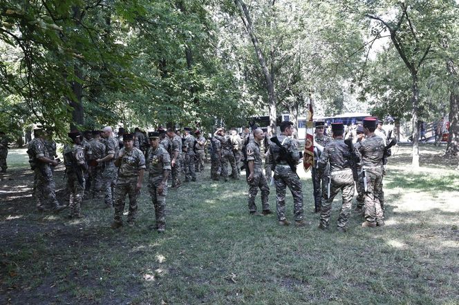 Tłumy na defiladzie wojskowej w Warszawie