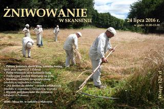 ŻNIWOWANIE W SKANSENIE